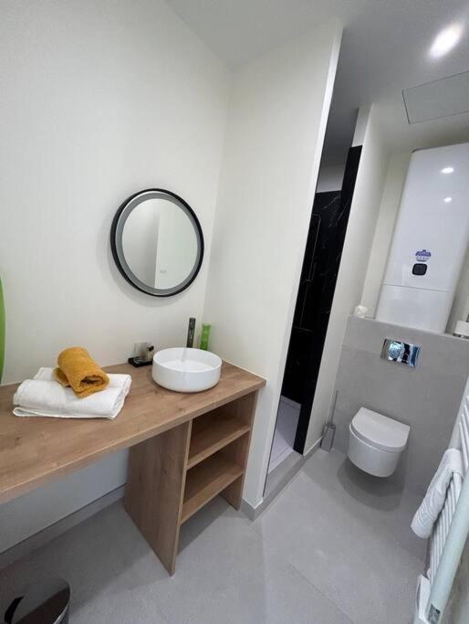 Le Studio Jardin D'Eden Metro Palais De Justice Apartment Toulouse Exterior foto